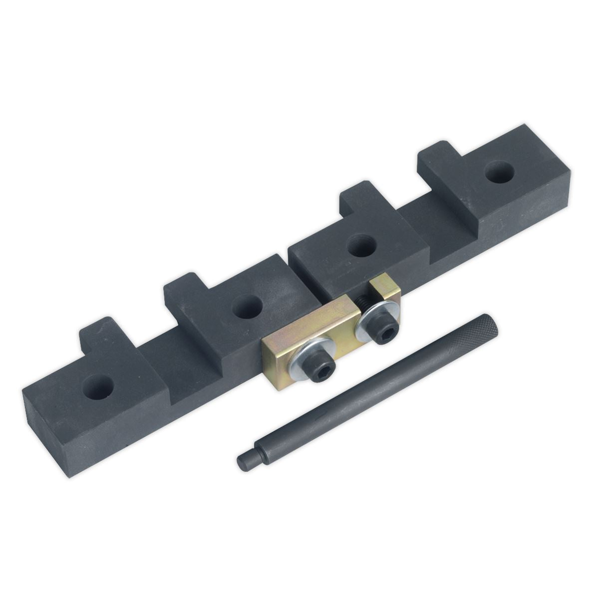 Sealey Petrol Engine Timing Tool Kit - for BMW M42/M50/M52/M52TU/M54/M56 - Chain Drive VSE4425