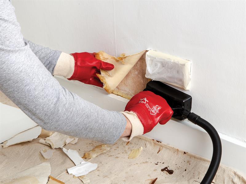 Wagner SteamForce Plus Wallpaper Stripper 2000W 240V WAG2404467