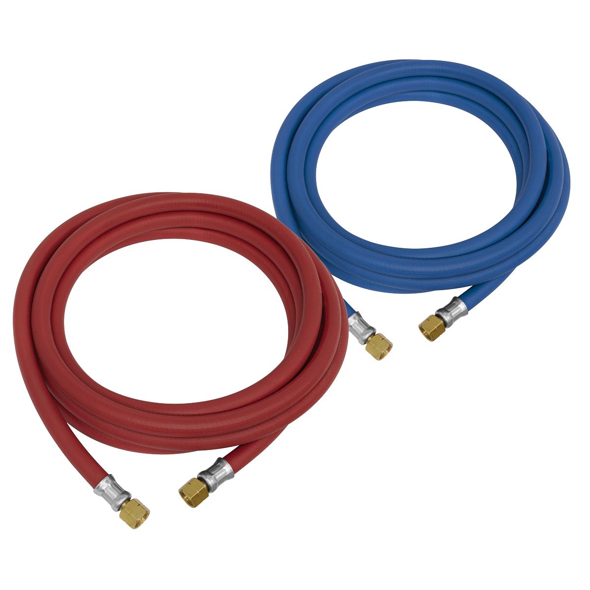Sealey Oxyacetylene Welding Hose Set 10m WH10