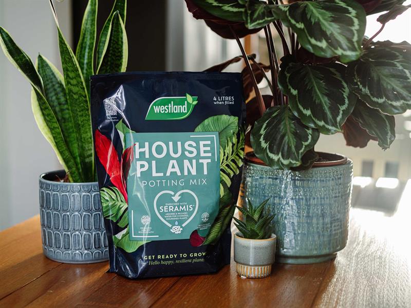 Westland Houseplant Potting Mix 4 litre Peat Free WLD10200085