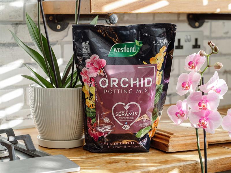Westland Orchid Potting Mix 4 litre Free Draining Peat Free WLD10200089