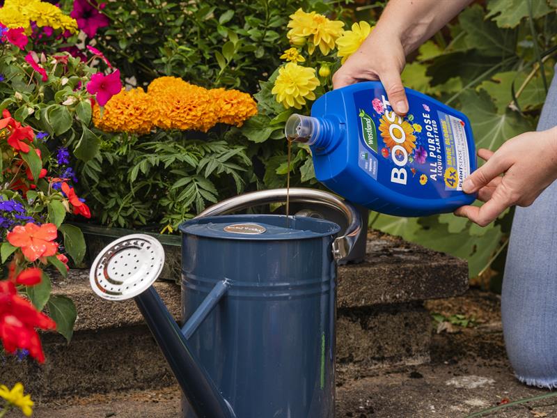 Westland Boost All Purpose Liquid Plant Feed 1 litre WLD20100468