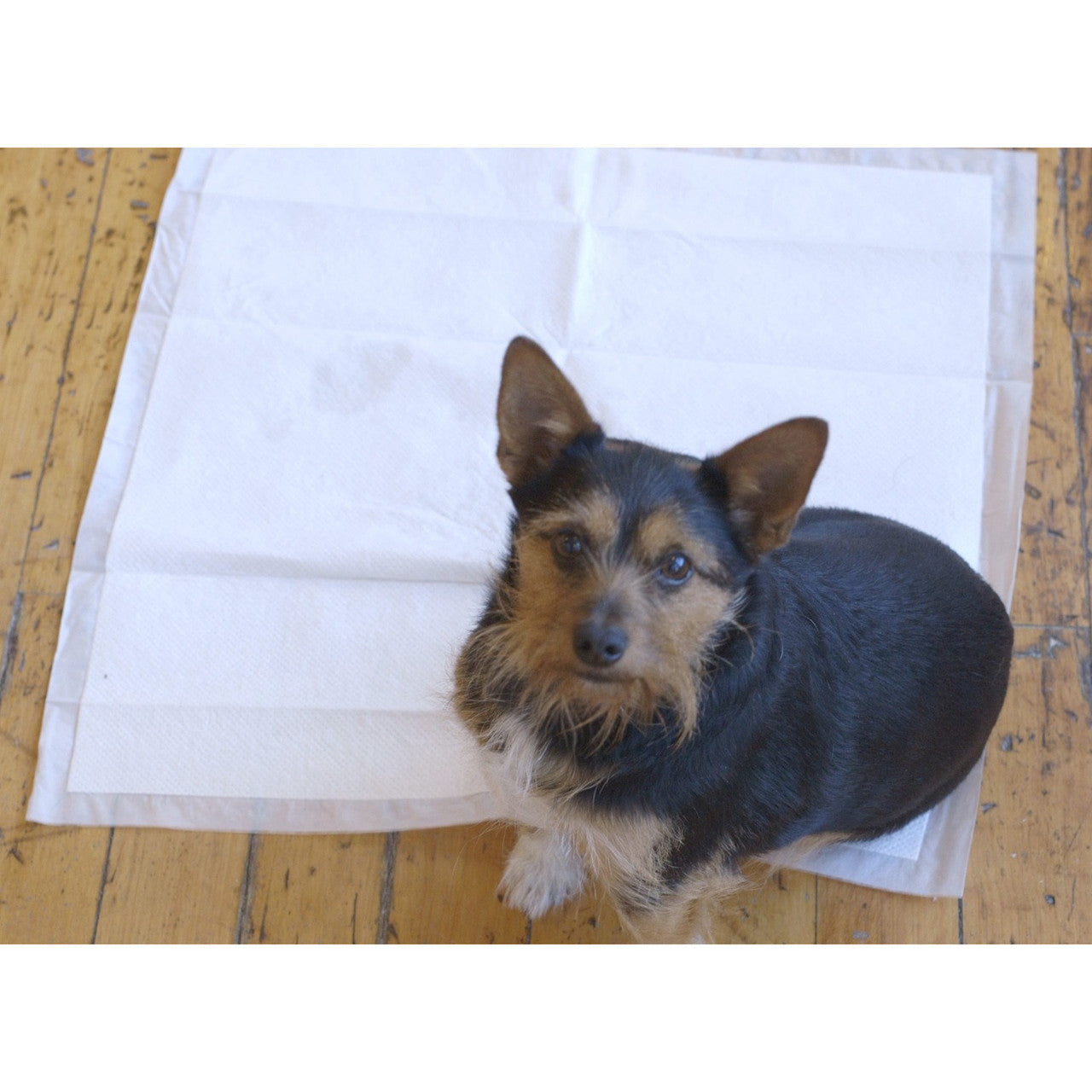 Quick Dam Water Activated Drip Mats 61cm 2ft x 61cm 2ft Pack of 10 WUBM-10