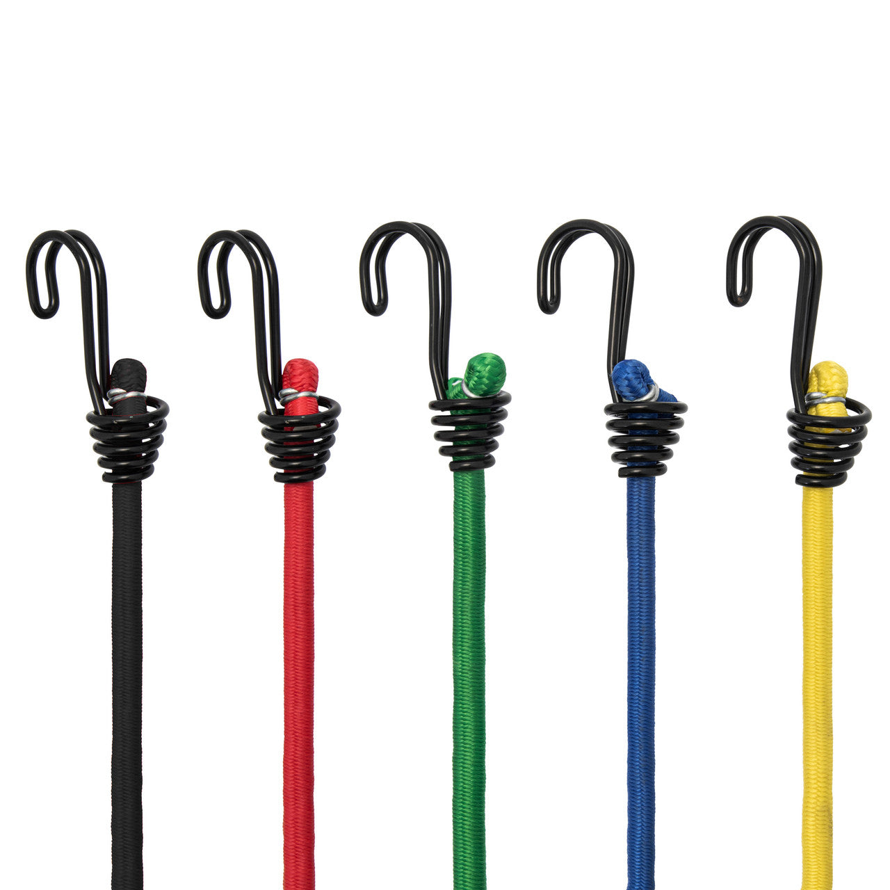 XTrade Bungee Cords 10 Pack Assorted colours and sizes X0500005