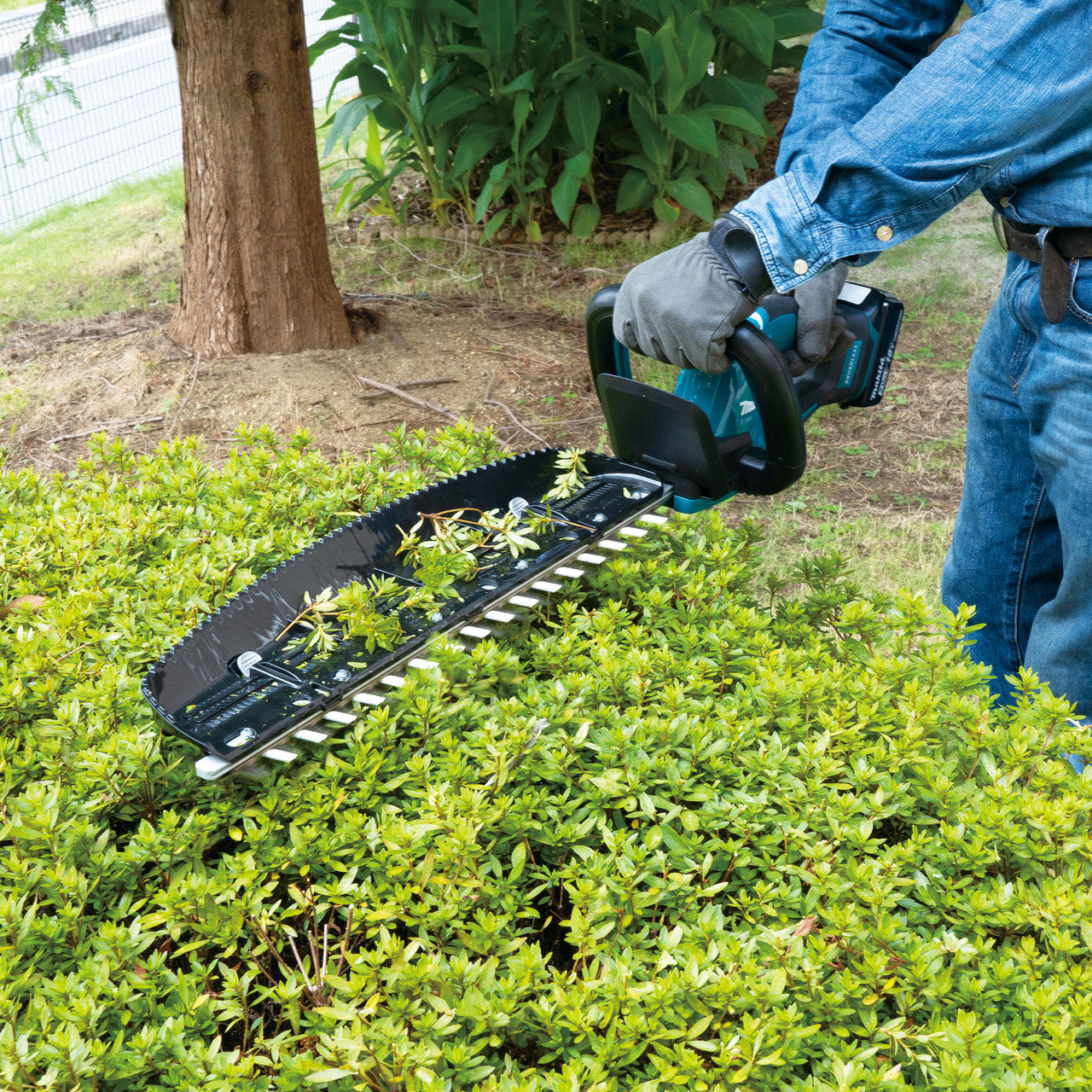 Makita 18V LXT Brushless Hedge Trimmer 1 x 5.0Ah Battery Blade 500mm DUH506RT