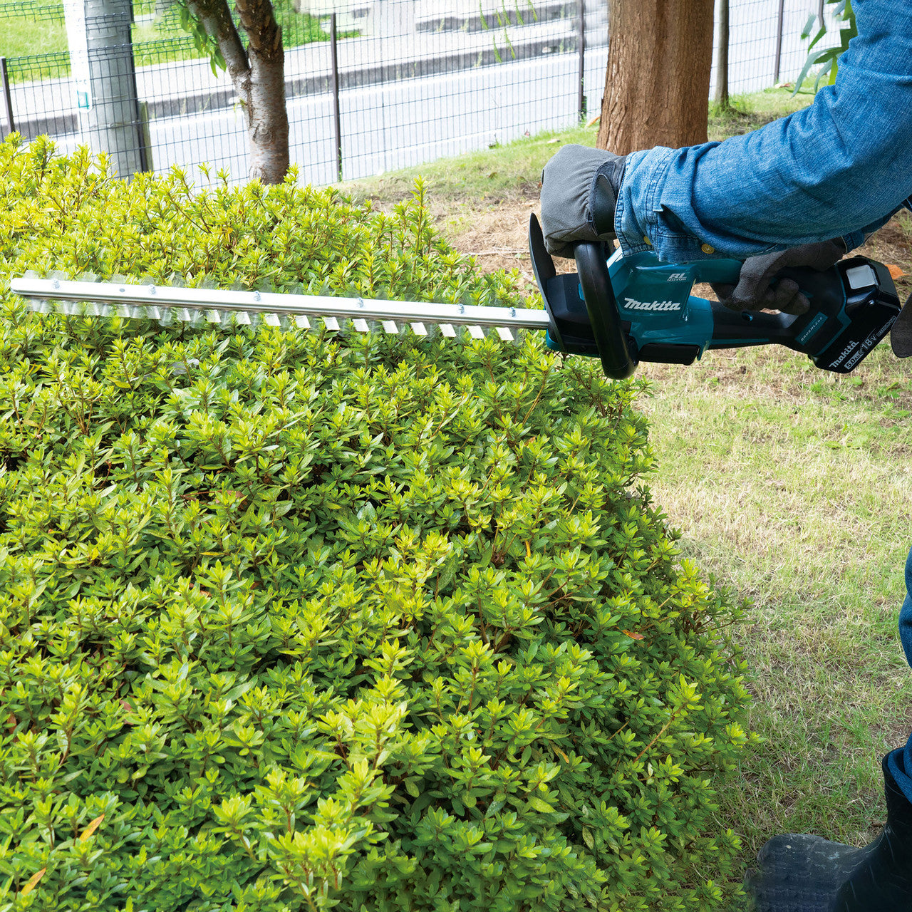 Makita 18V LXT Brushless Hedge Trimmer 1 x 5.0Ah Battery Blade 500mm DUH506RT