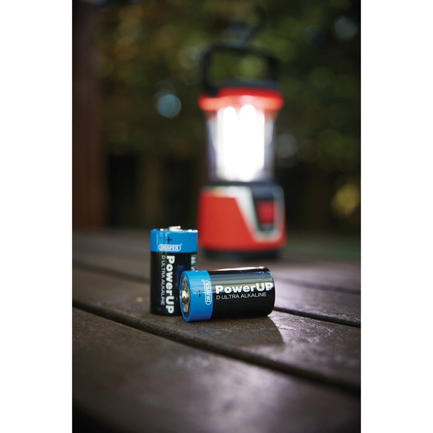 Draper PowerUP Ultra Alkaline D Batteries (Pack of 12)