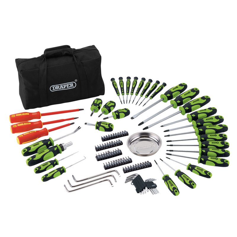 Screwdriver and Bit Set with Soft Storage Bag, Green (100 Piece)