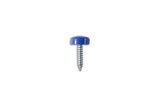 Connect Self Tapping Screws 8 x 3/4" Blue Cap 100pc 31541