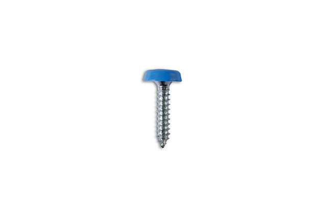 Connect Number Plate Screw 10 x 1" Blue Polytop 100pc 31549