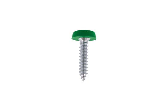 Connect Number Plate Screw Green No 10 x 3/4 100pc 31556
