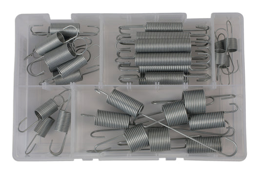 Connect Assorted Clutch & Accelerator Springs 35pc 31845