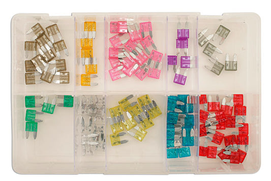 Connect Assorted Mini Blade Fuses 100pc 31857