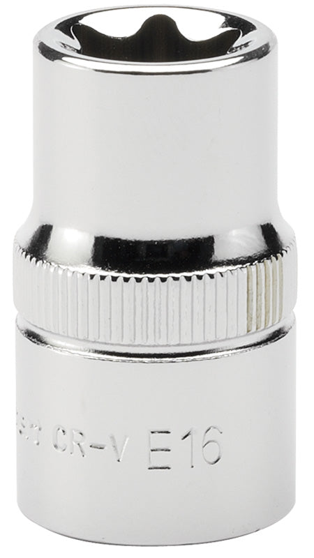 E16 1/2" Square Drive Draper TX-STAR® Socket