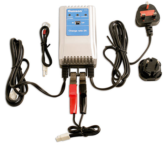 Gunson Maintenance Battery Charger 77115