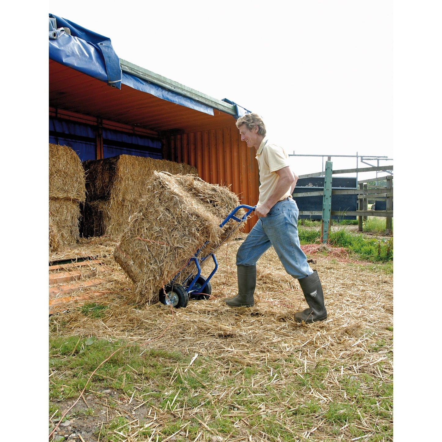 Sack truck, 250kg