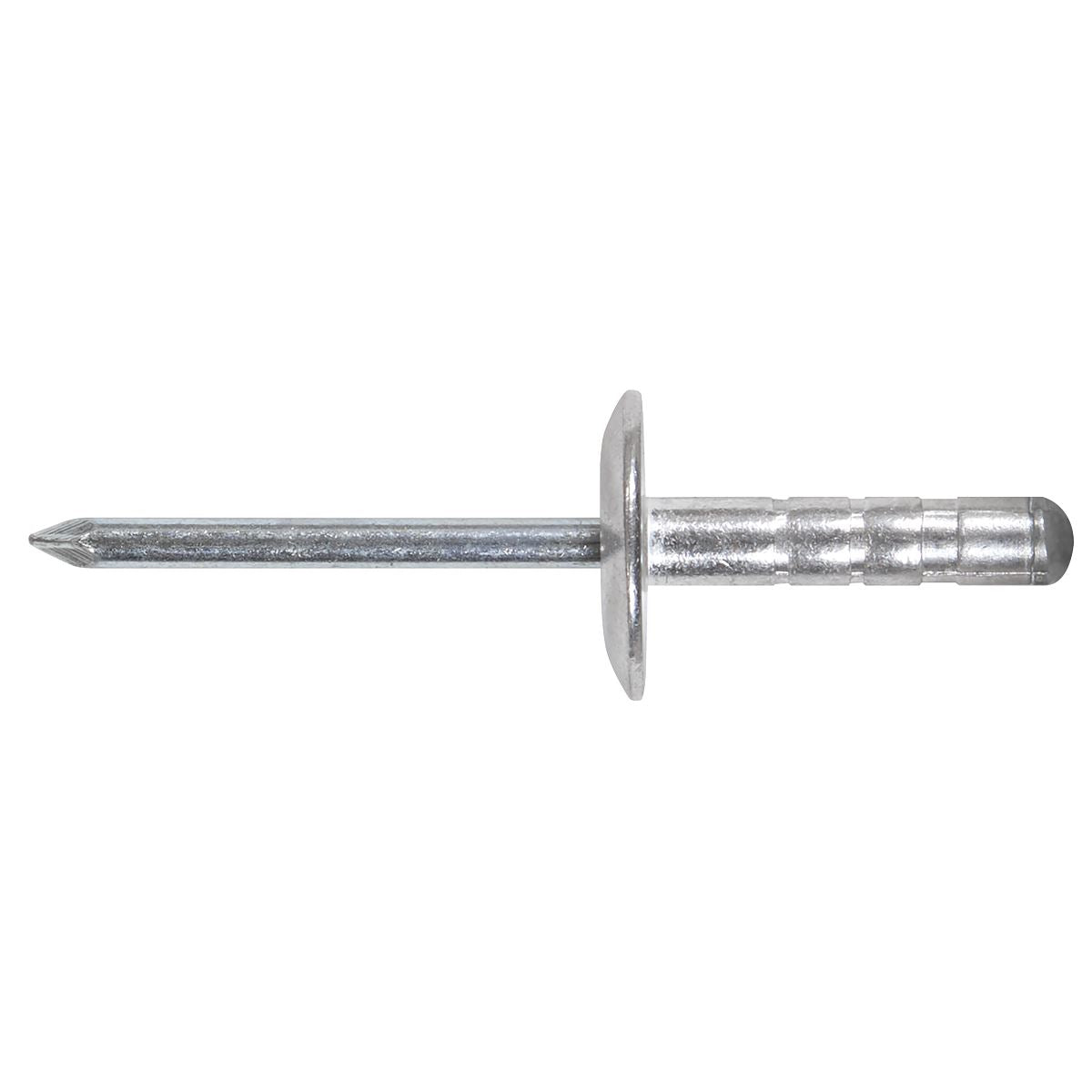 Sealey Aluminium Rivet Assortment Set 335pc Standard Flange AB079AR