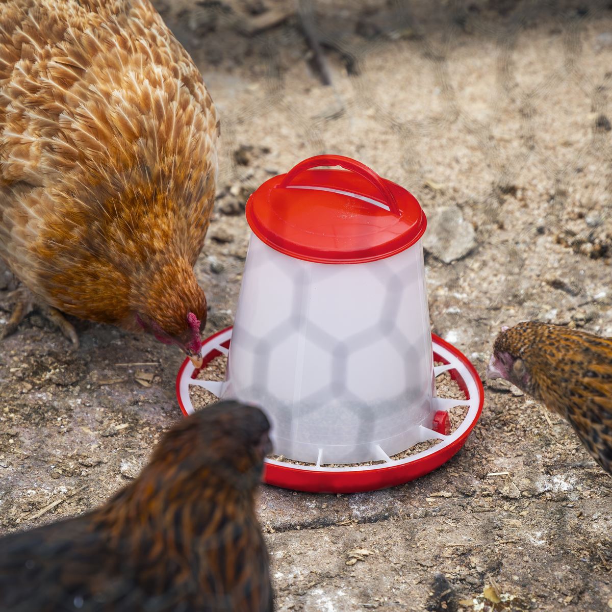 Sealey Poultry Feeder 1.5kg Pack of 5 Robust Plastic Anti Scrape Ring AFT025