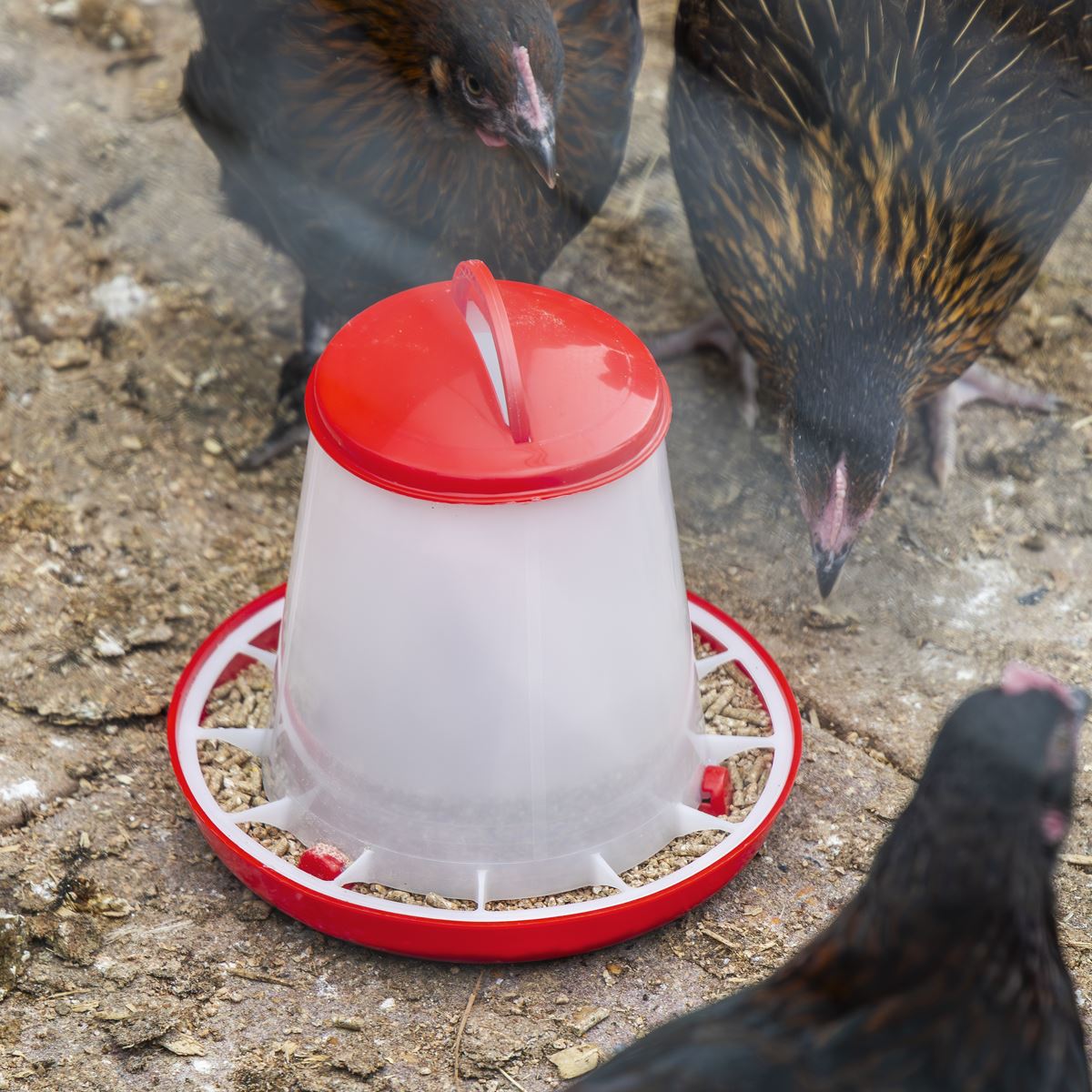 Sealey Poultry Feeder 1.5kg Pack of 5 Robust Plastic Anti Scrape Ring AFT025