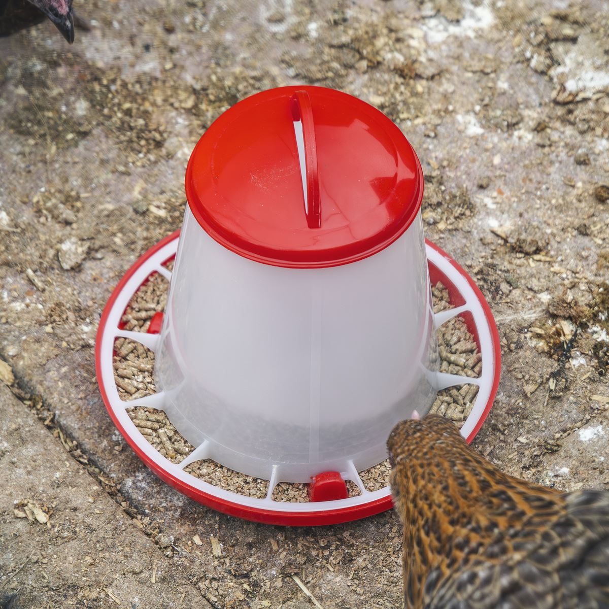Sealey Poultry Feeder 1.5kg Plastic With A Robust Design Twist Lock Base AFT02