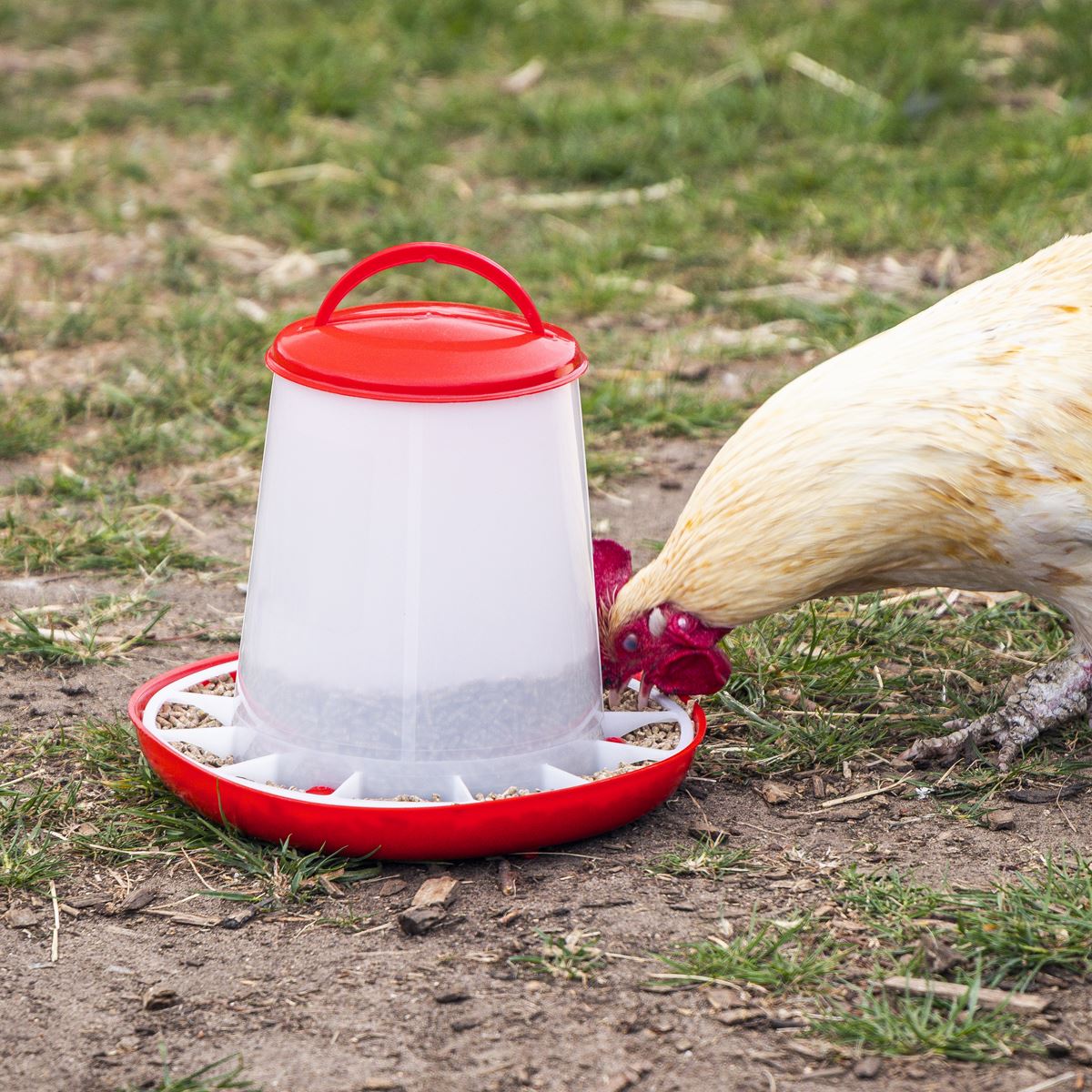 Sealey Poultry Feeder 3kg Pack of 3 Robust Plastic Anti Scrape Ring AFT033