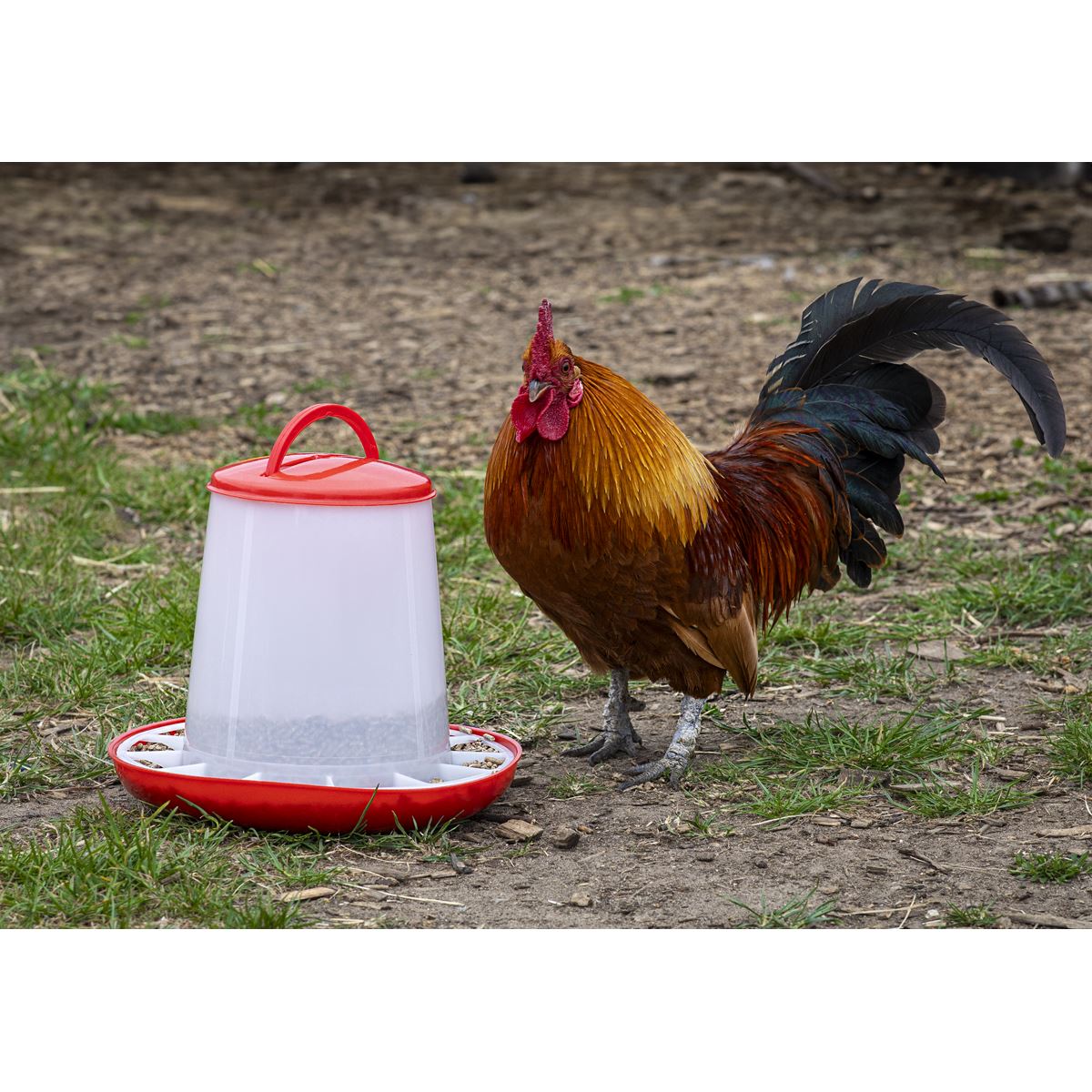 Sealey Poultry Feeder 3kg Pack of 3 Robust Plastic Anti Scrape Ring AFT033