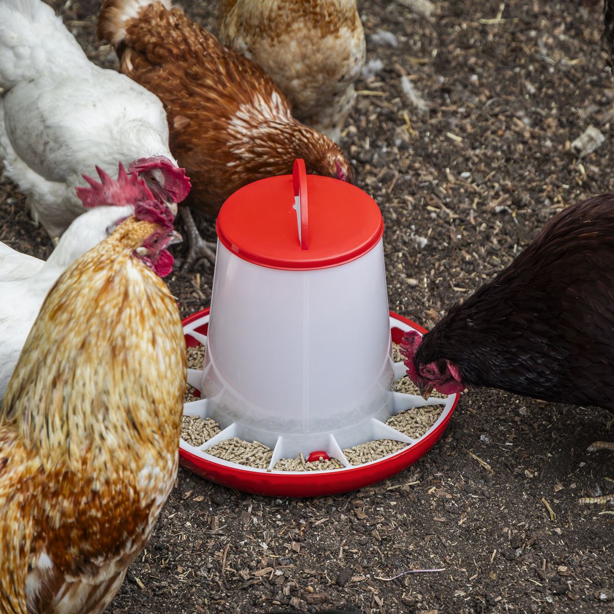 Sealey Poultry Feeder 6kg Pack of 2 Robust Plastic Anti Scrape Ring AFT042