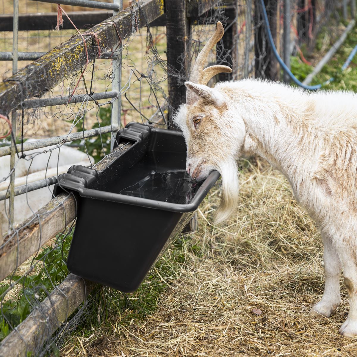 Sealey Hook Over Cattle Trough 40L Size 800 x 390 x 300mm Plastic AFT08