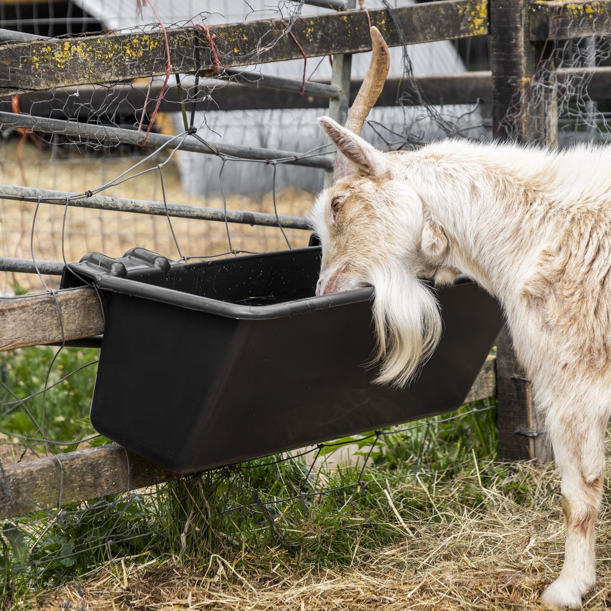 Sealey Hook Over Cattle Trough 40L Size 800 x 390 x 300mm Plastic AFT08
