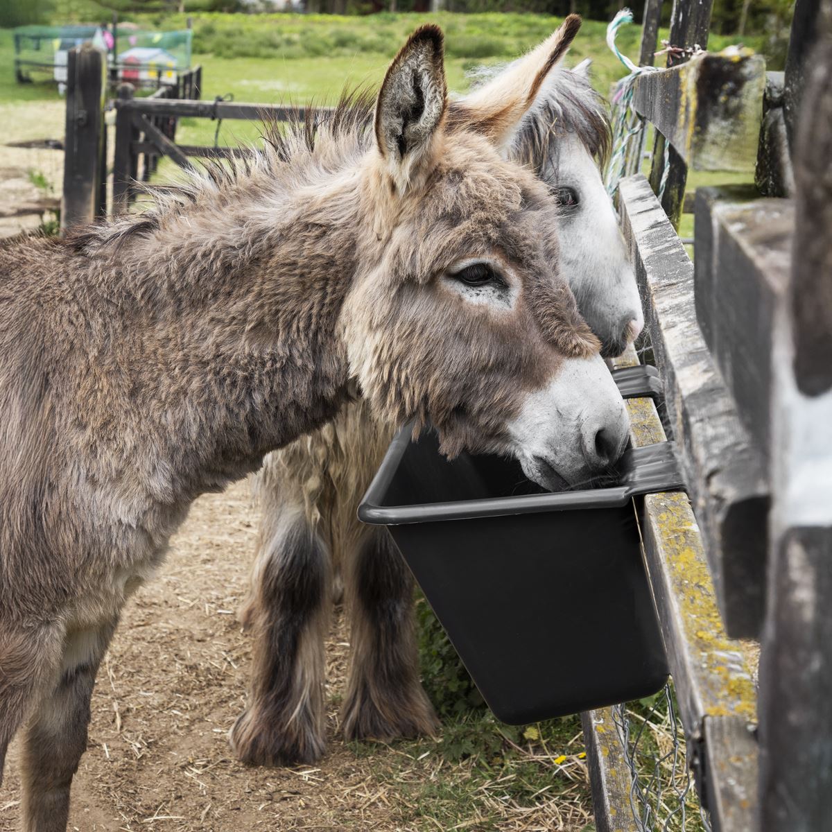 Sealey Hook Over Cattle Trough 40L Size 800 x 390 x 300mm Plastic AFT08