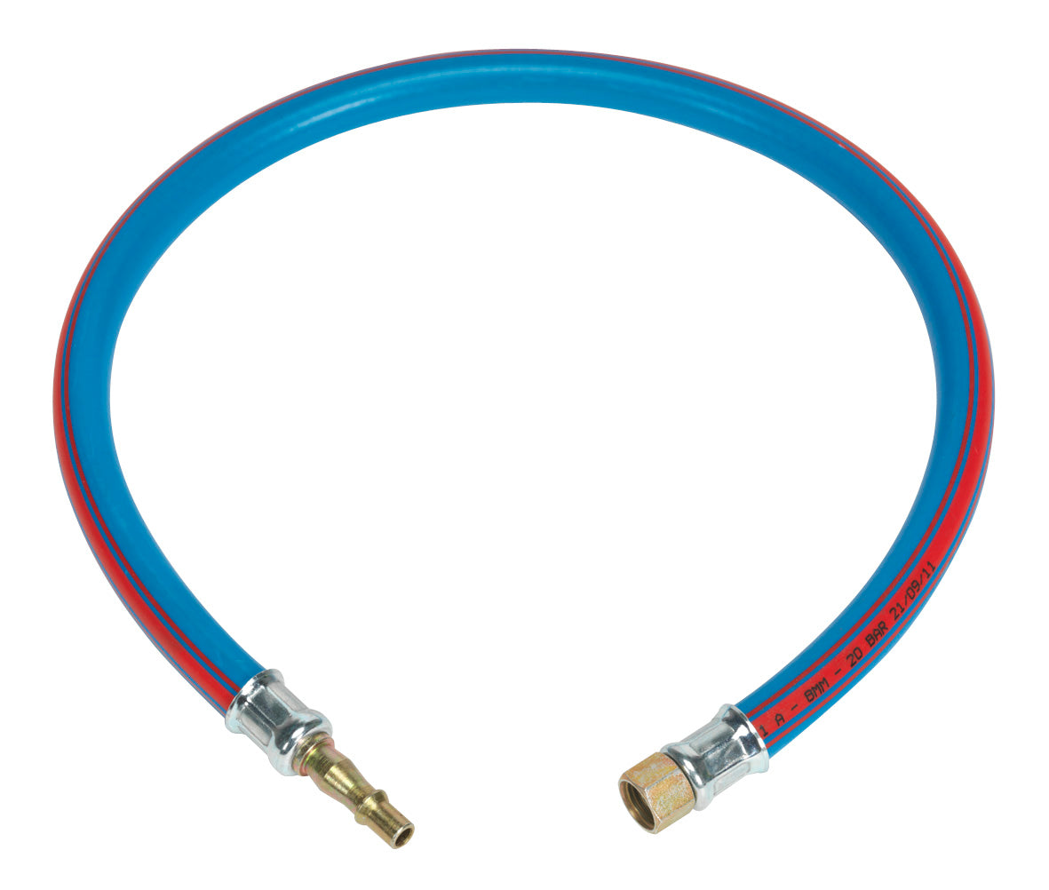 Sealey Air Leader Hose 600mm x 10mm With Tailpiece And 1/4"BSP Union AH2R/38