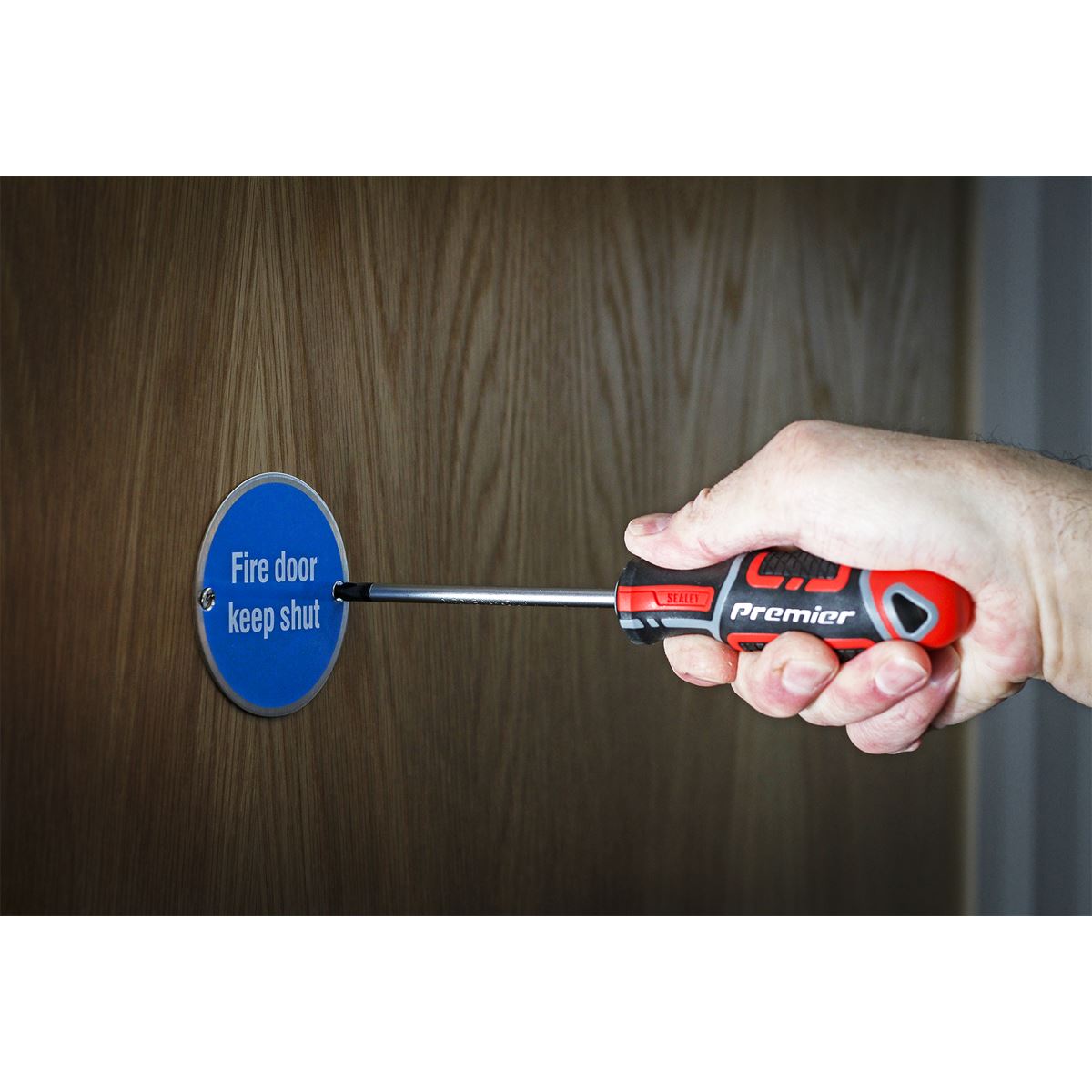 Sealey Screwdriver Phillips #2 x 100mm GripMAX&reg; AK4361