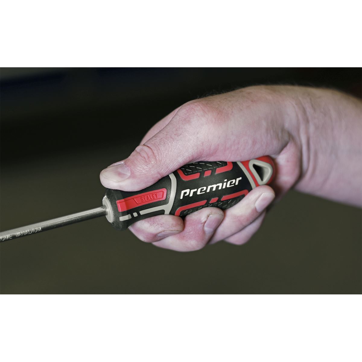 Sealey Screwdriver Phillips #2 x 100mm GripMAX&reg; AK4361