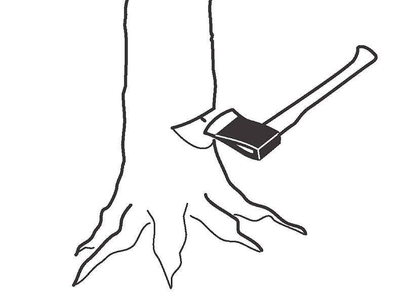 Bahco Felling Axe Ash Handle FGS 1.6-810 2.2kg BAHFGS16810