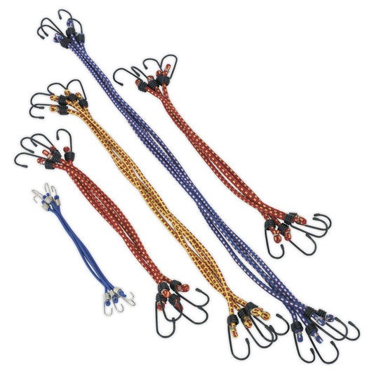 Sealey Elastic Cord Set 20pc BCS20
