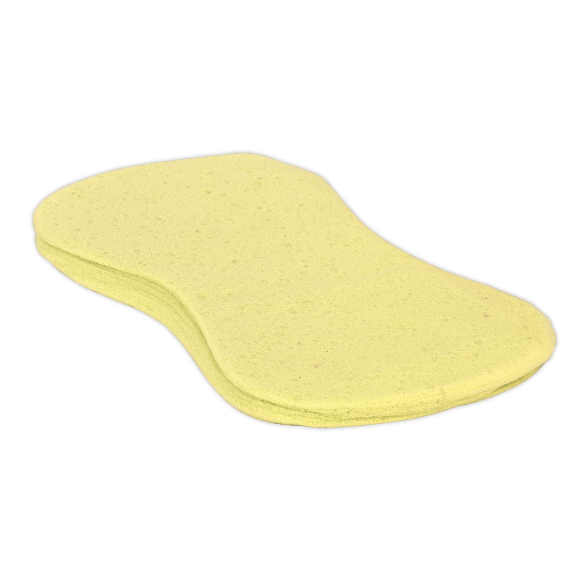 Sealey Large Sponge CC64