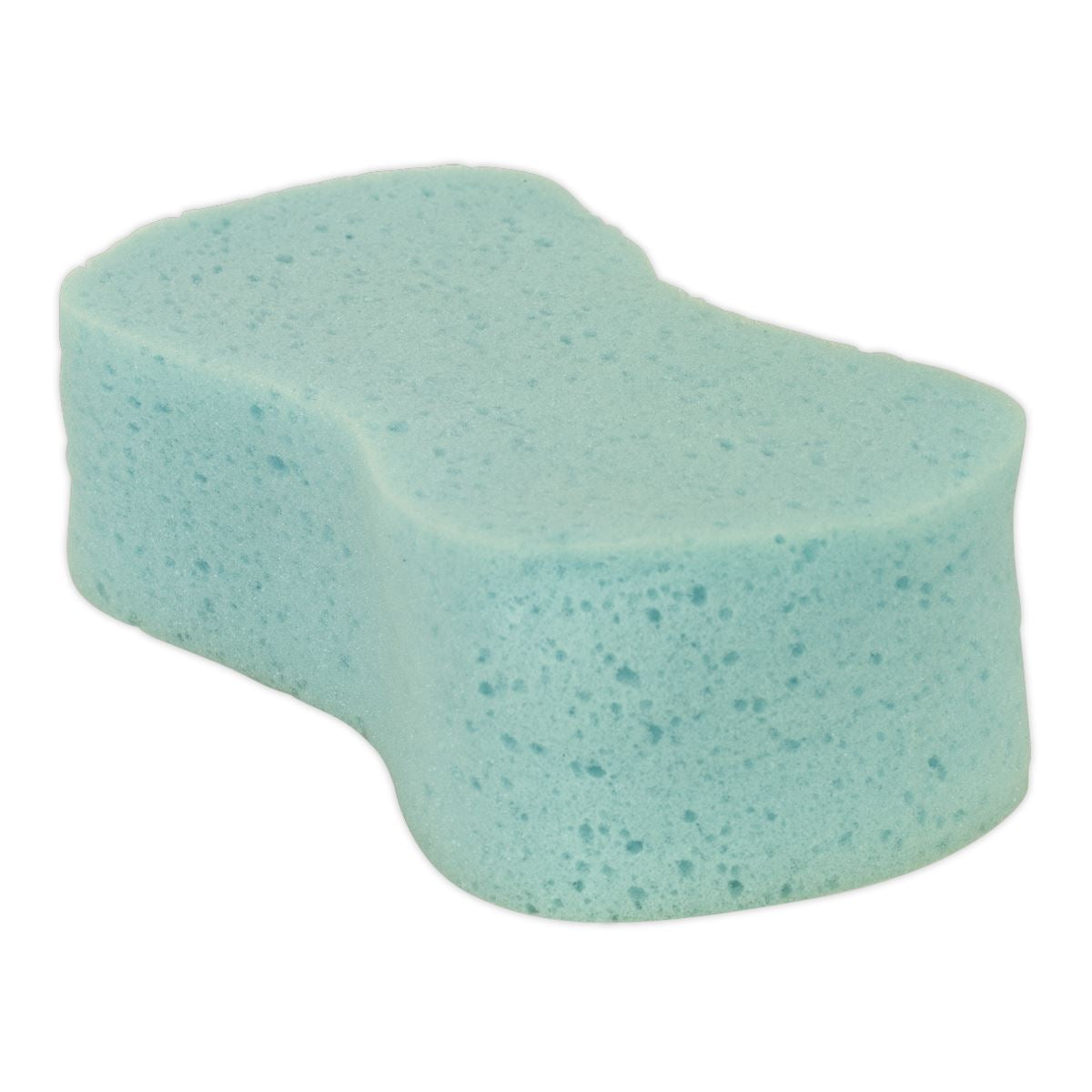 Sealey Large Sponge CC64