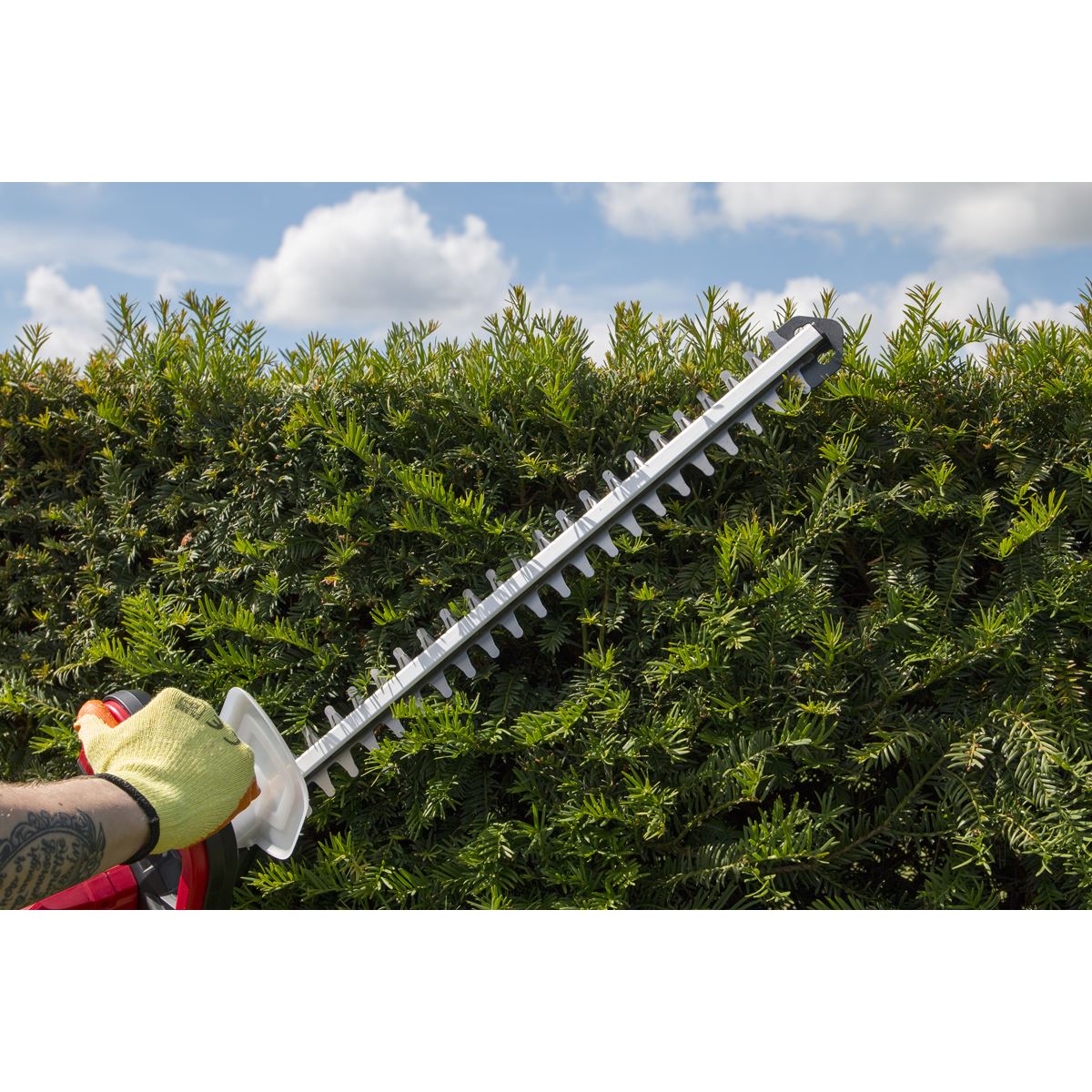Sealey 52cm Hedge Trimmer Cordless 20V SV20 Series - Body Only CHT20V