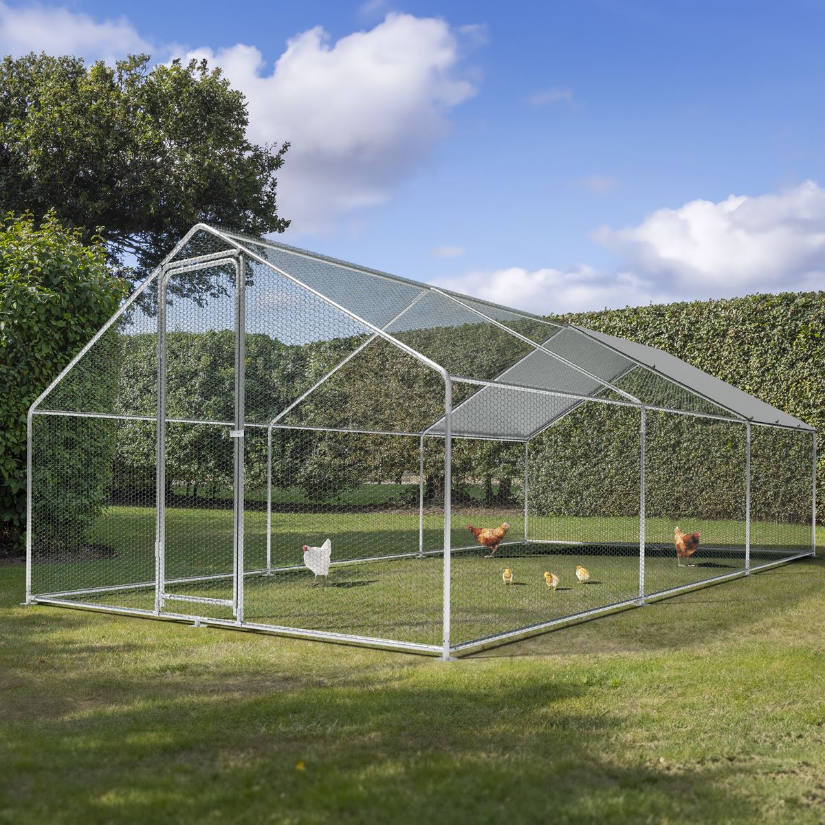 Dellonda Galvanized Steel Chicken Run with Coated Roof Cover 3 x 6 x 2m DG280