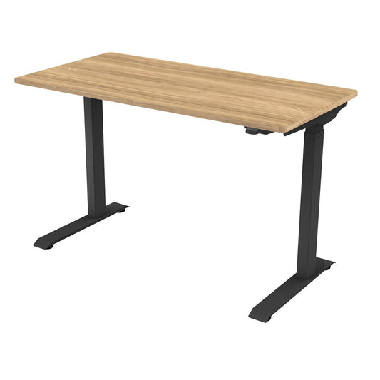 Dellonda Oak Electric Adjustable Office Standing Desk Quiet 1200 x 600mm DH66