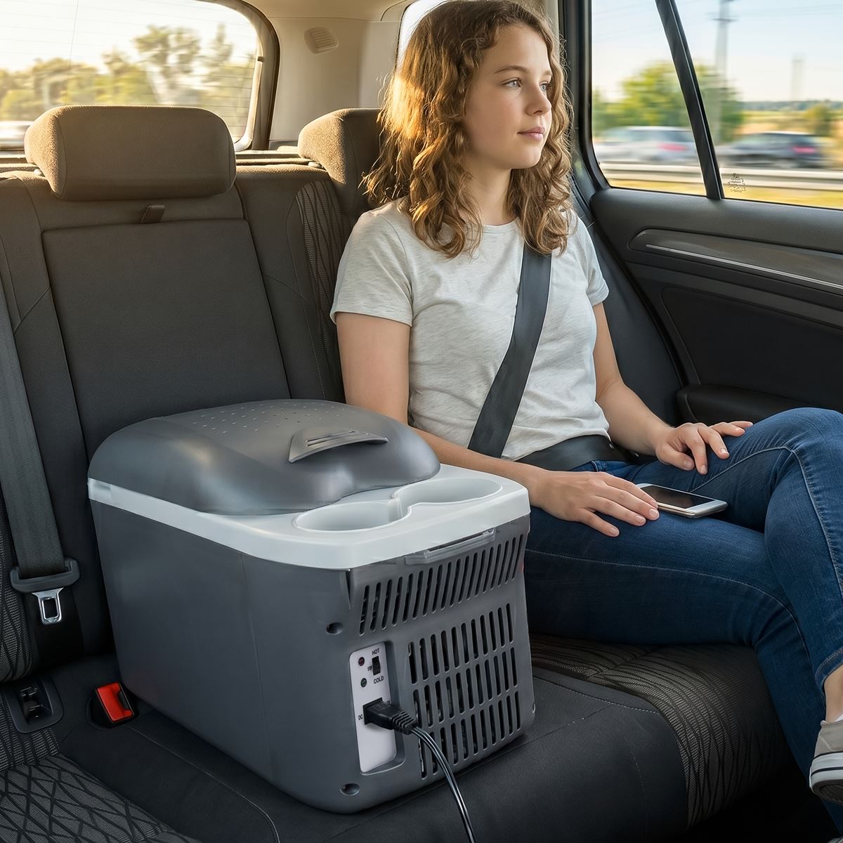 Sealey Dellonda 8L Portable Cool Box 12V DL166