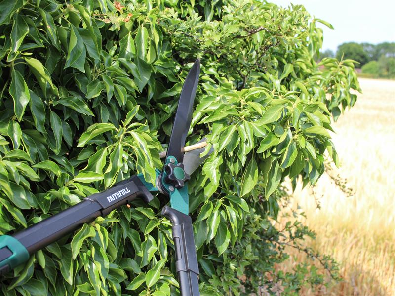 Faithfull Countryman Hedge Shear 300mm (12in) FAICOUHS12