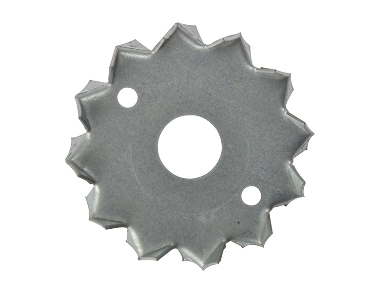 ForgeFix Dog Tooth Washer ZP 50 x 12mm Box 100 FORDTW50