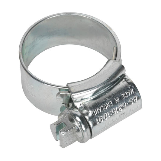 Sealey HI-GRIP&reg; Hose Clip Zinc Plated �14-22mm Pack of 30 HCJ0