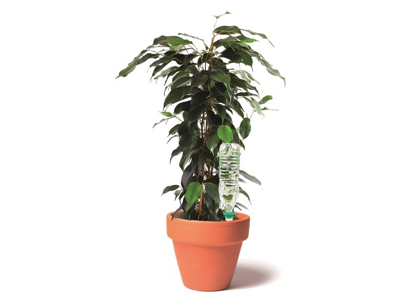 Hozelock 2717 Green Aquasolo Watering Cone for Medium 16in Pots (Pack 4) HOZ2717