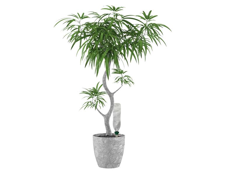 Hozelock 2717 Green Aquasolo Watering Cone for Medium 16in Pots (Pack 4) HOZ2717