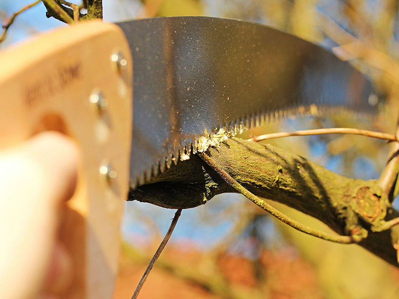 Kent & Stowe Pruning Saw K/S70100441