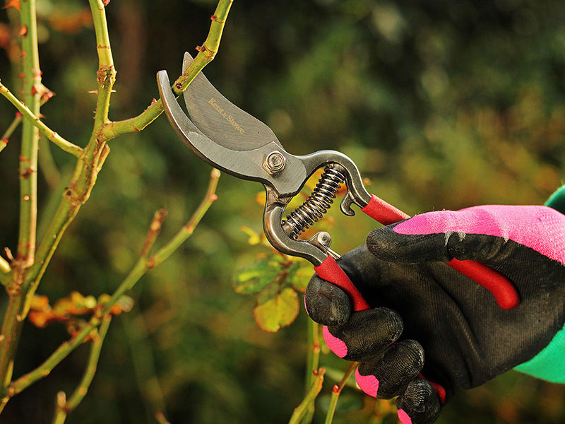 Kent & Stowe Traditional Bypass Secateurs K/S70100476