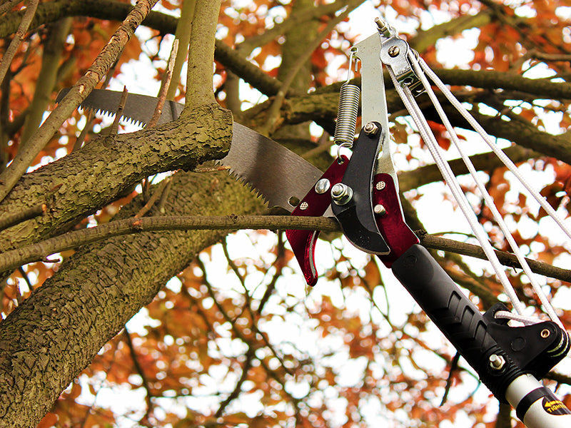 Kent & Stowe Telescopic Tree Pruner 3m K/S70100496
