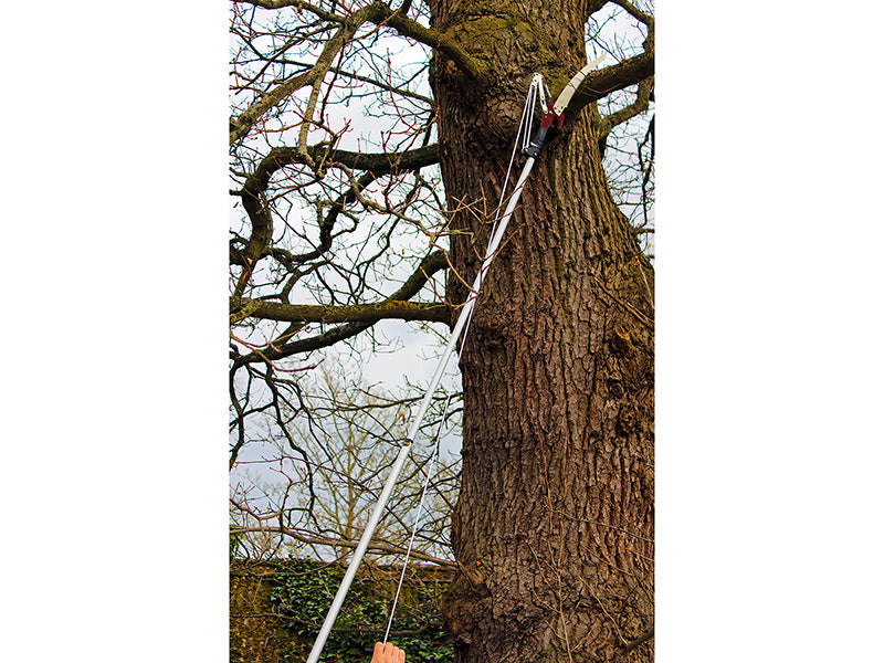 Kent & Stowe Telescopic Tree Pruner 3m K/S70100496